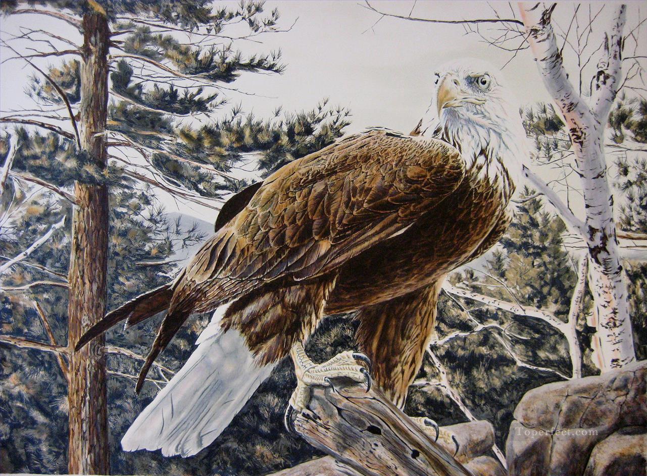 eagle on white tree birds Oil Paintings